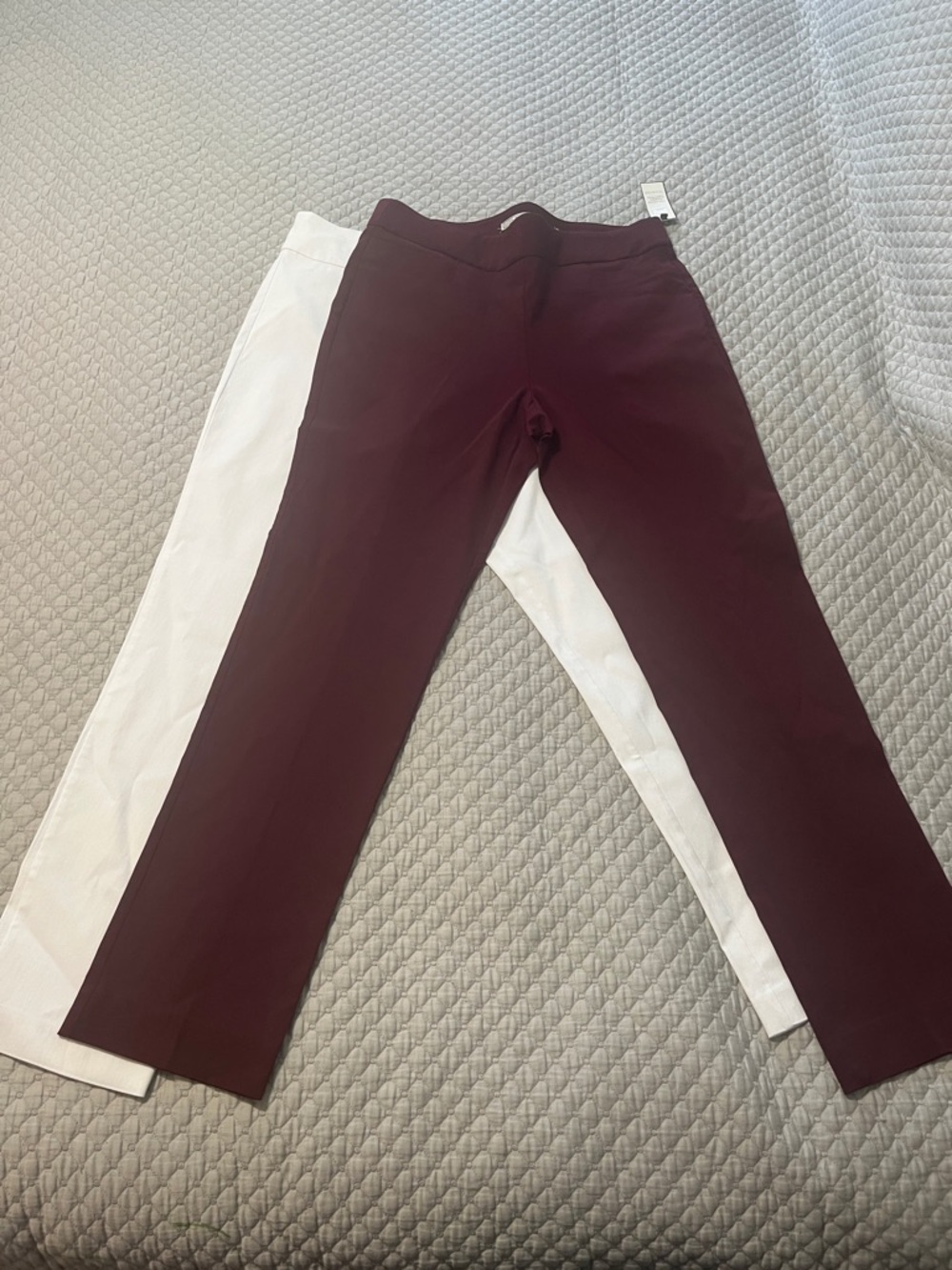 Dana Buchman Straight Leg Pants Duo - Wine & White